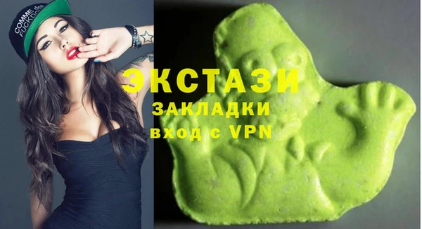 молекула духа Ельня