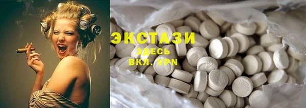 молекула духа Ельня