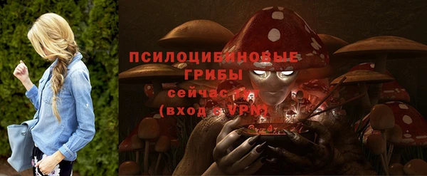 Альфа ПВП Майский