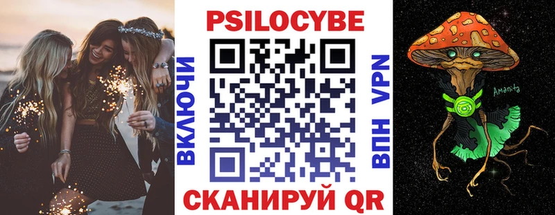 Псилоцибиновые грибы Psilocybine cubensis  Семёнов 